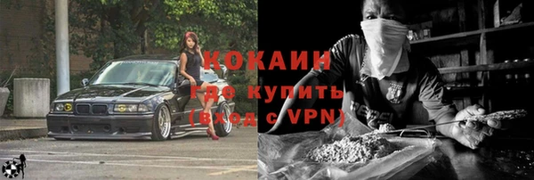 твердый Богданович
