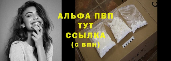 твердый Богданович