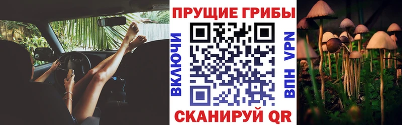 Псилоцибиновые грибы ЛСД  где купить наркоту  Иннополис 